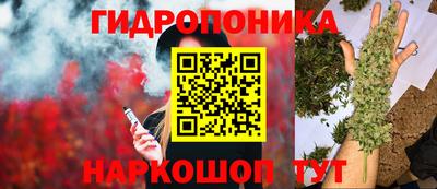 не бодяженный Будённовск