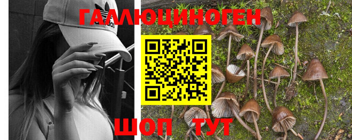 Обнинск  Псилоцибиновые грибы Magic Shrooms  Вход с VPN 